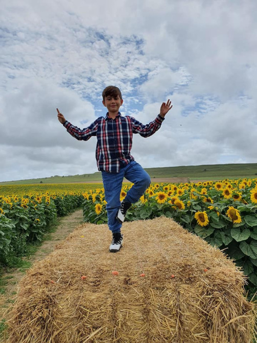 Maiden Castle Farm image from Dorset Sunflower Trail