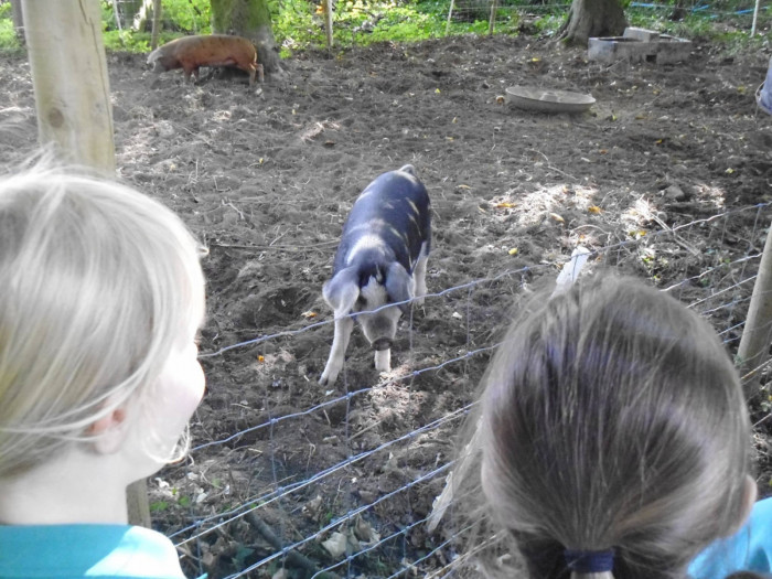 Maiden Castle Farm image from Educational visits