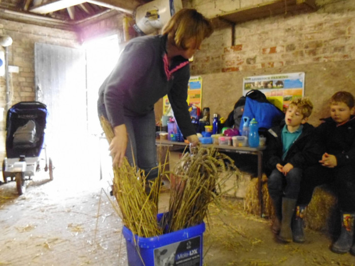 Maiden Castle Farm image from Educational visits