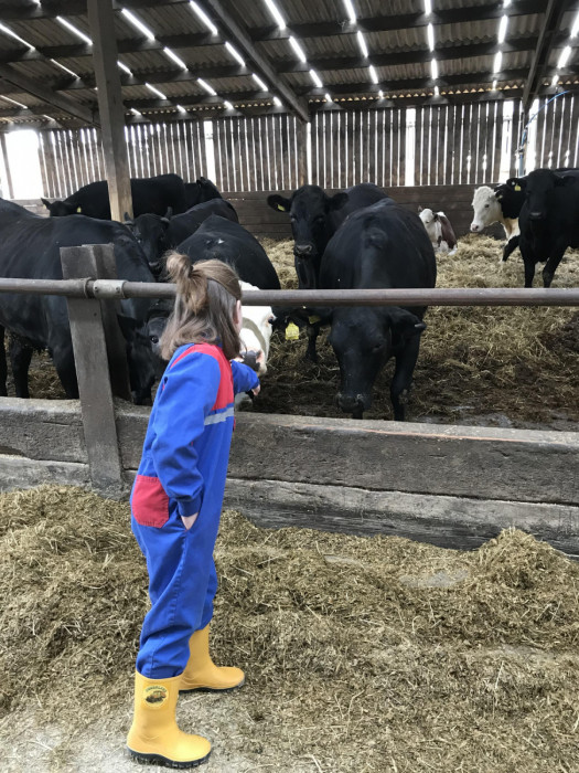 Maiden Castle Farm image from Educational visits