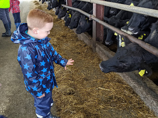 Maiden Castle Farm image from Educational visits