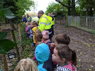 Maiden Castle Farm image from Educational visits