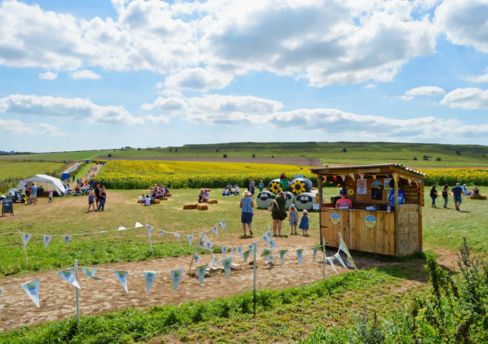Maiden Castle Farm image from Sunflower Trail 2021