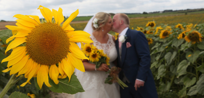 Maiden Castle Farm image from Sunflower Trail 2021
