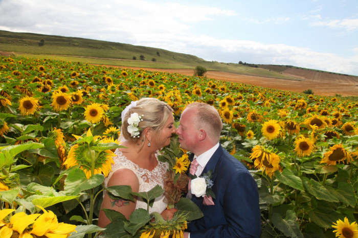 Maiden Castle Farm image from Sunflower Trail 2021