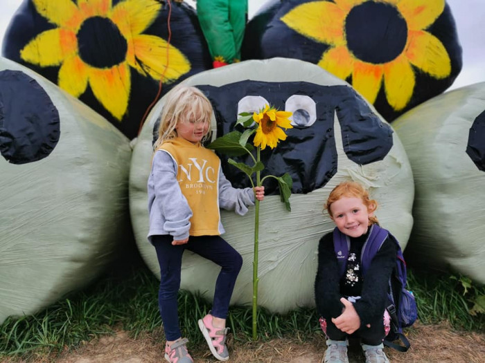 Maiden Castle Farm image from Sunflower Trail 2021