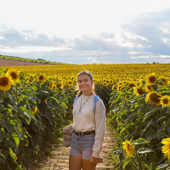 Maiden Castle Farm image from Sunflower Trail 2021