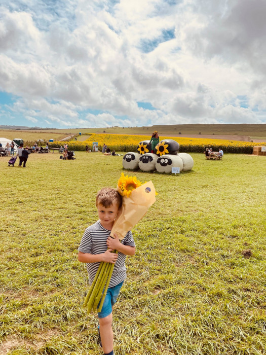 Maiden Castle Farm image from Sunflower Trail 2021