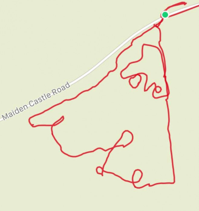 Maiden Castle Farm image from Sunflower Trail 2021