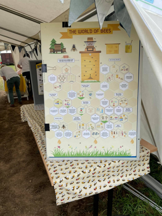 Maiden Castle Farm image from Sunflower Trail 2021