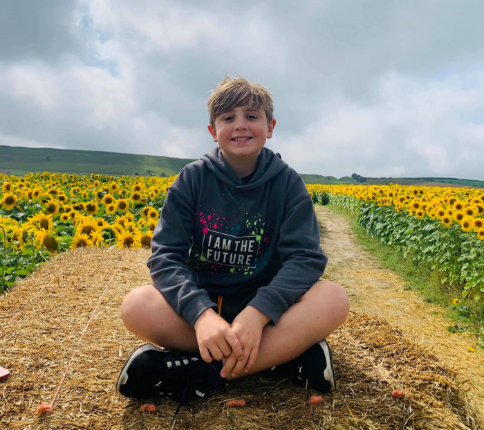Maiden Castle Farm image from Sunflower Trail 2021