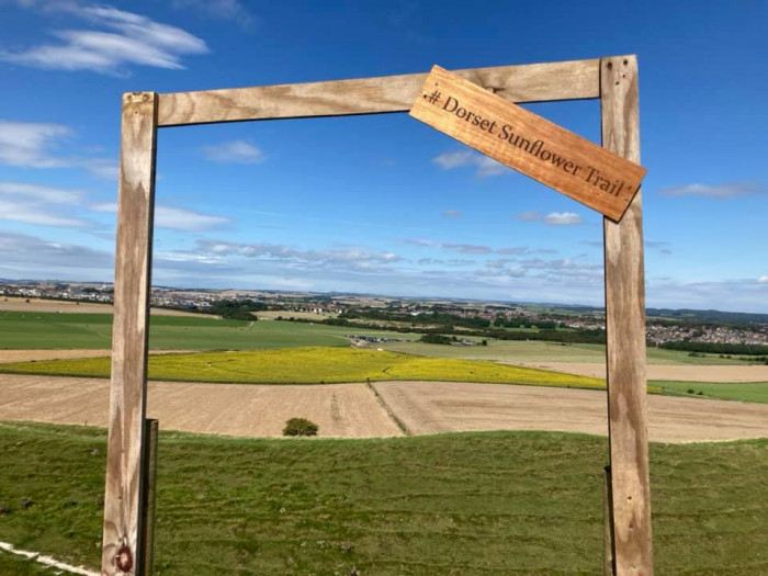 Maiden Castle Farm image from Sunflower Trail 2021